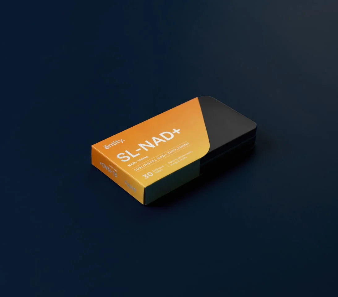 p-1775005780595-x-13-1