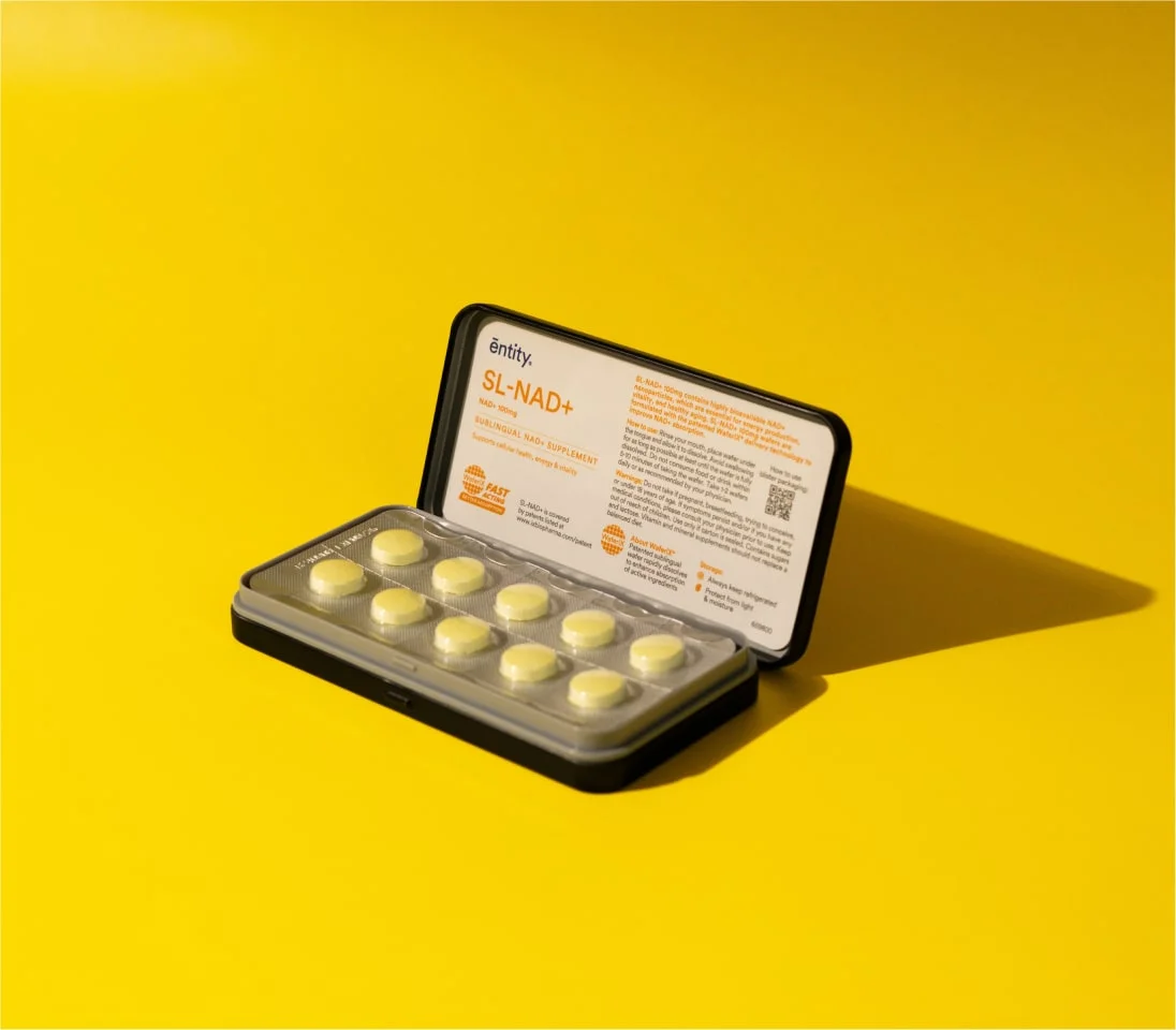 p-1775005780595-x-13-2